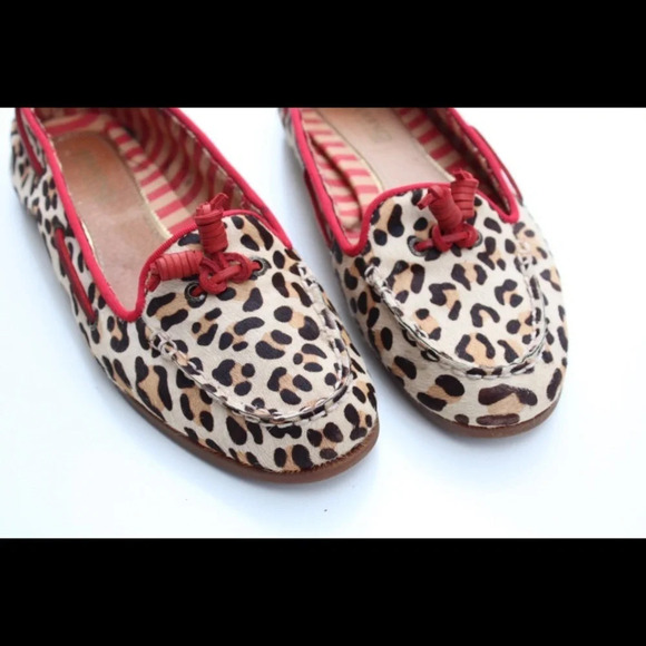 Sperry flats - Picture 6 of 14